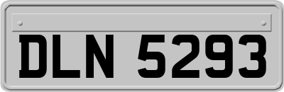 DLN5293