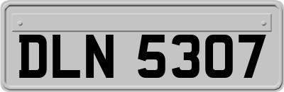 DLN5307