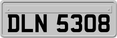 DLN5308