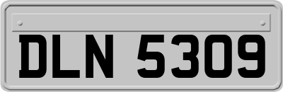 DLN5309