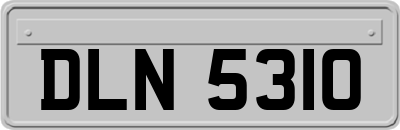 DLN5310