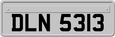 DLN5313