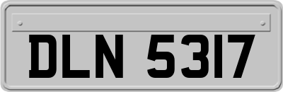 DLN5317