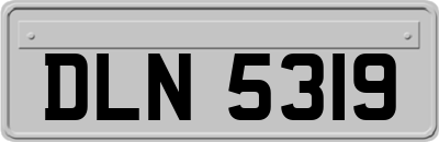 DLN5319