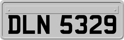 DLN5329