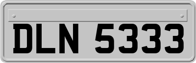 DLN5333