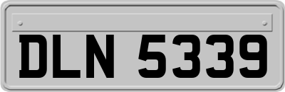 DLN5339