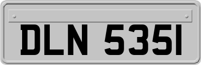 DLN5351
