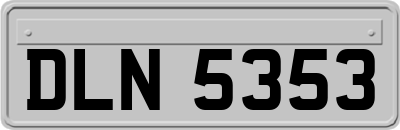 DLN5353