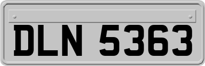 DLN5363