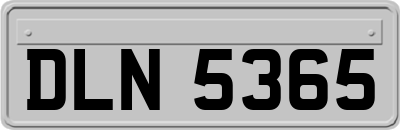 DLN5365