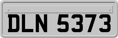 DLN5373