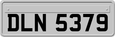 DLN5379