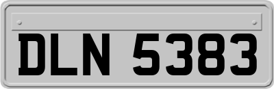 DLN5383