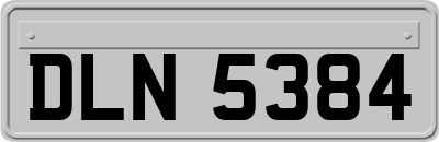 DLN5384