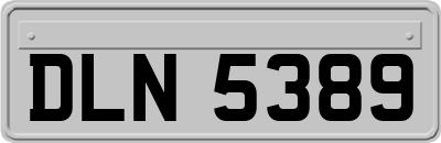 DLN5389