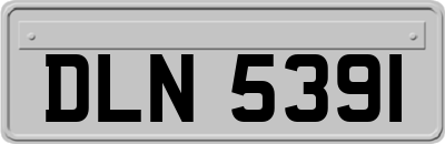 DLN5391