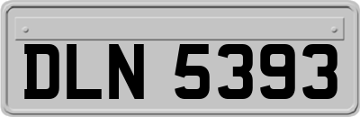 DLN5393