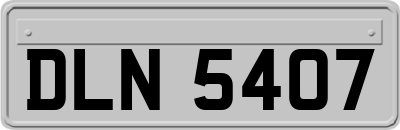 DLN5407