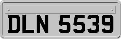DLN5539