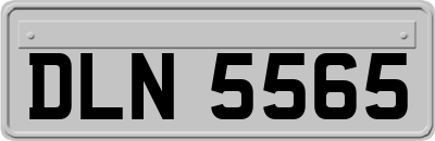 DLN5565