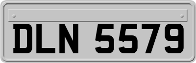 DLN5579