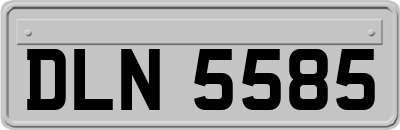 DLN5585