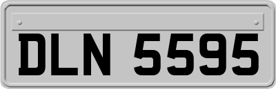 DLN5595