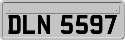 DLN5597