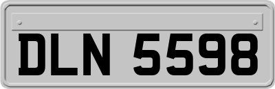 DLN5598