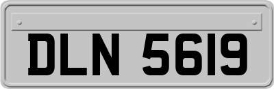 DLN5619