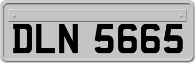 DLN5665