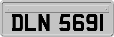 DLN5691