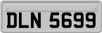 DLN5699