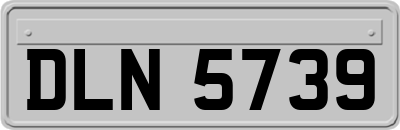 DLN5739