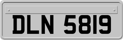DLN5819