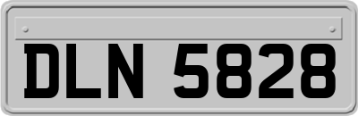 DLN5828