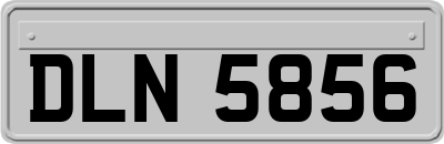 DLN5856