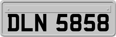 DLN5858