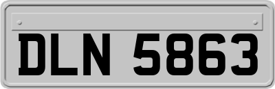 DLN5863