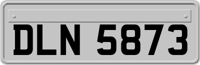 DLN5873