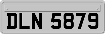 DLN5879