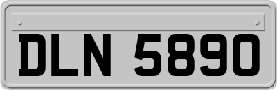 DLN5890