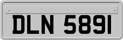 DLN5891