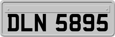 DLN5895
