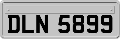DLN5899