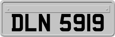 DLN5919
