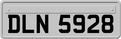 DLN5928