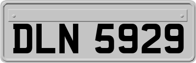 DLN5929