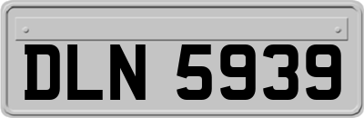 DLN5939